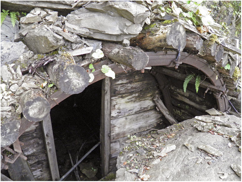 Restos de un transversal de Minas del Principado, en el Alto del Rasón, Valle del Río Negro, Aller, Asturias. Año 2011.