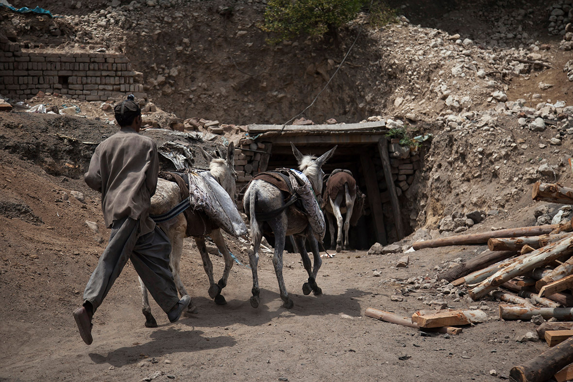 coal-mining-donkeys-pakistan-4